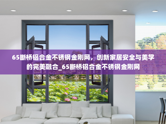 65断桥铝合金不锈钢金刚网，创新家居安全与美学的完美融合_65断桥铝合金不锈钢金刚网