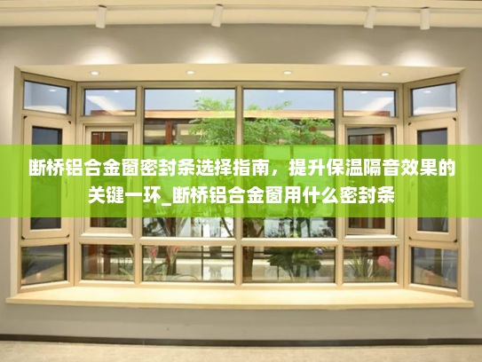 断桥铝合金窗密封条选择指南，提升保温隔音效果的关键一环_断桥铝合金窗用什么密封条