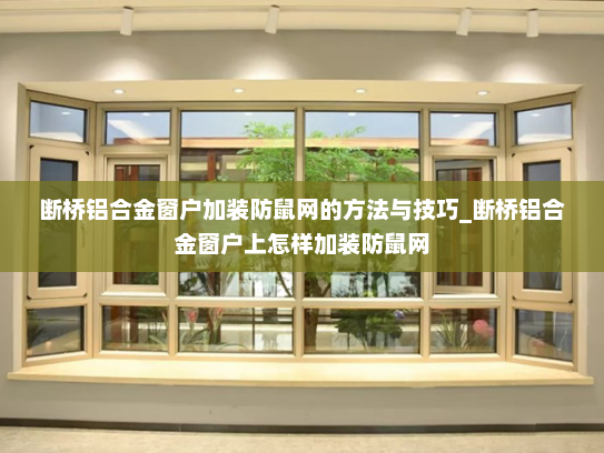 断桥铝合金窗户加装防鼠网的方法与技巧_断桥铝合金窗户上怎样加装防鼠网