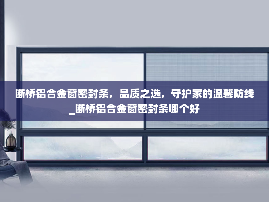 断桥铝合金窗密封条，品质之选，守护家的温馨防线_断桥铝合金窗密封条哪个好