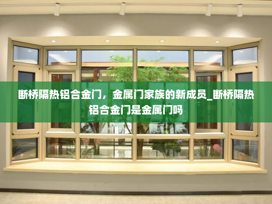 断桥隔热铝合金门，金属门家族的新成员_断桥隔热铝合金门是金属门吗