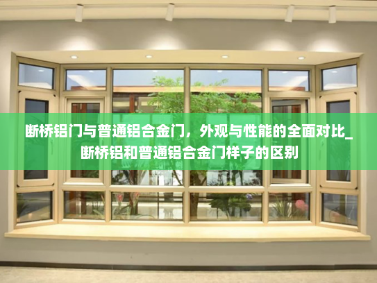 断桥铝门与普通铝合金门，外观与性能的全面对比_断桥铝和普通铝合金门样子的区别