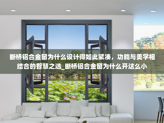 断桥铝合金窗为什么设计得如此紧凑，功能与美学相结合的智慧之选_断桥铝合金窗为什么开这么小