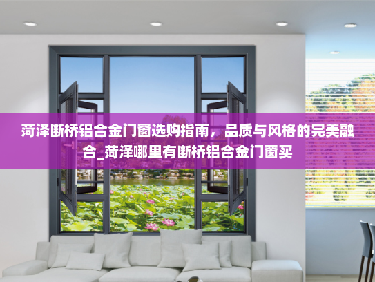 菏泽断桥铝合金门窗选购指南，品质与风格的完美融合_菏泽哪里有断桥铝合金门窗买